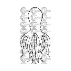 PULPO