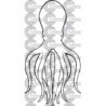 PULPO