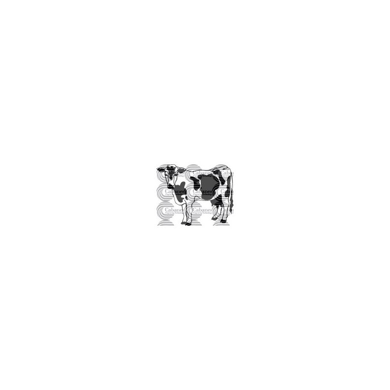 VACA