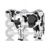 VACA
