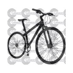 BICICLETA PASEO