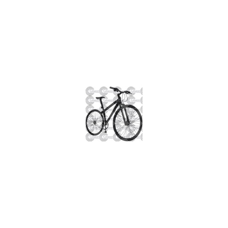 BICICLETA PASEO