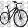 BICICLETA PASEO