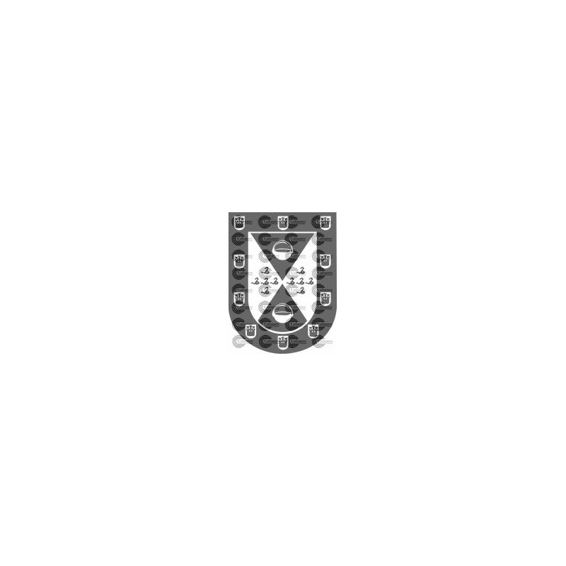 ESCUDO APELLIDO RAMIREZ ASTURIAS