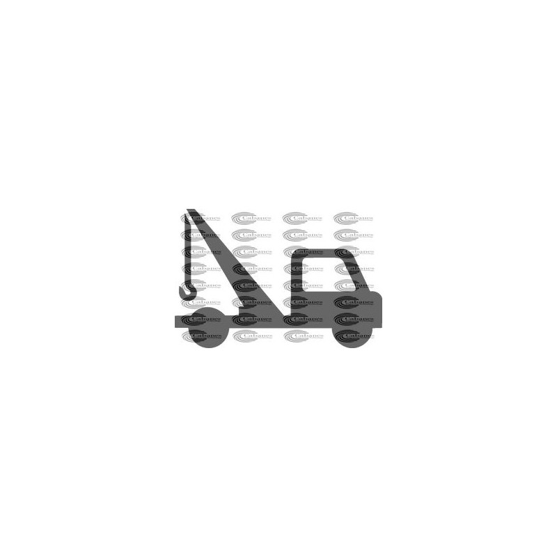 CAMION GRUA
