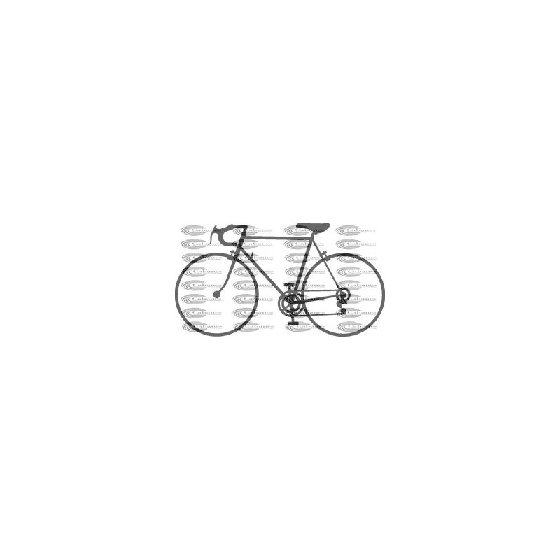 BICICLETA CARRERAS