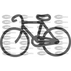 BICICLETA PASEO