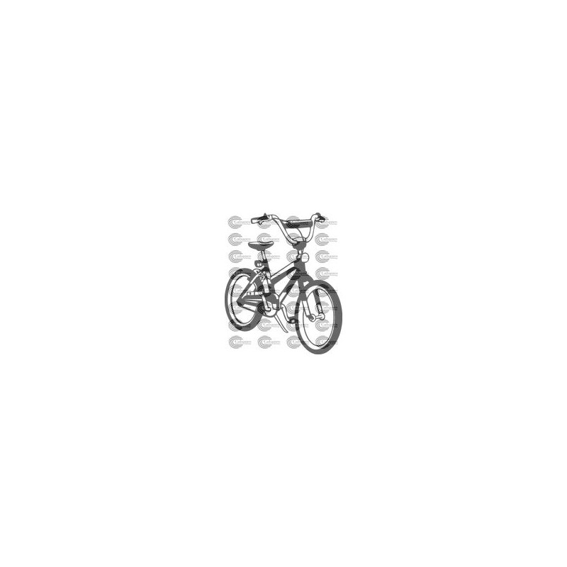 BICICLETA PASEO