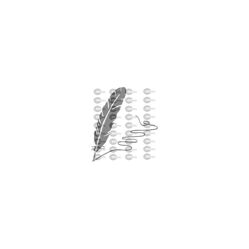 PLUMA ESCRIBIR