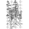 PAISAJE ARBOL
