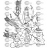 ESPIGAS UVAS