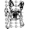PERRO BULLDOG FRANCES