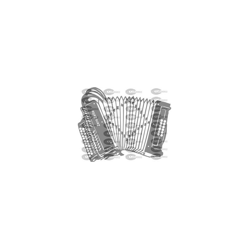 INSRUMENTO ACORDEON