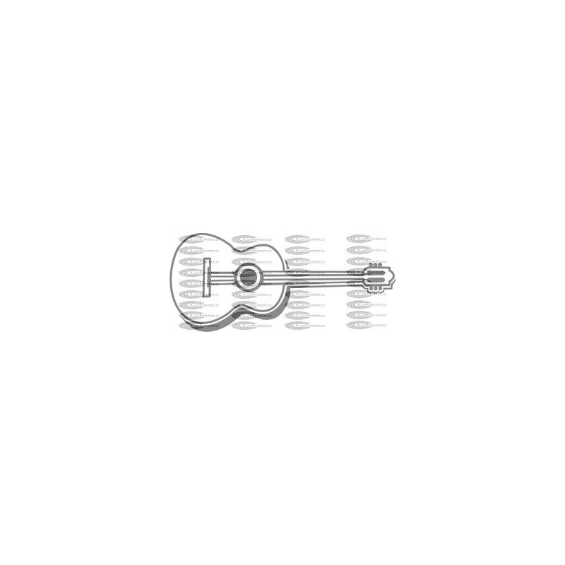 INSTRUMENTO GUITARRA ESPAÑOLA