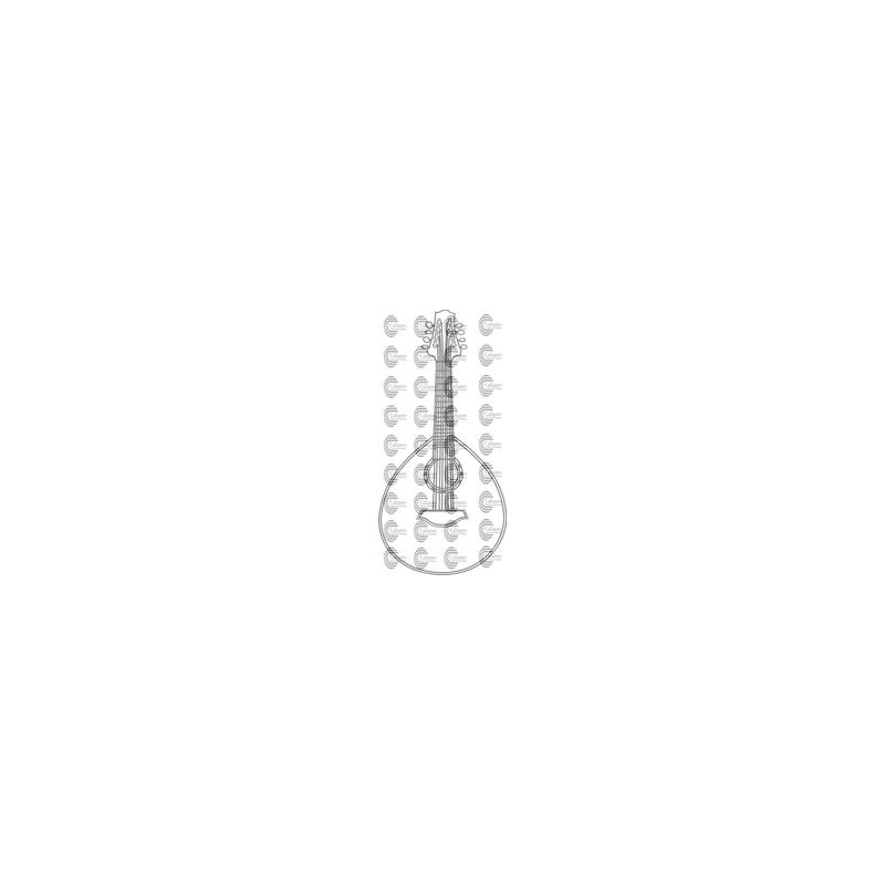INSTRUMENTO LAUD