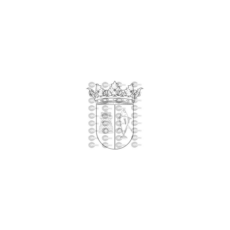 ESCUDO CONIL FRONTERA CADIZ