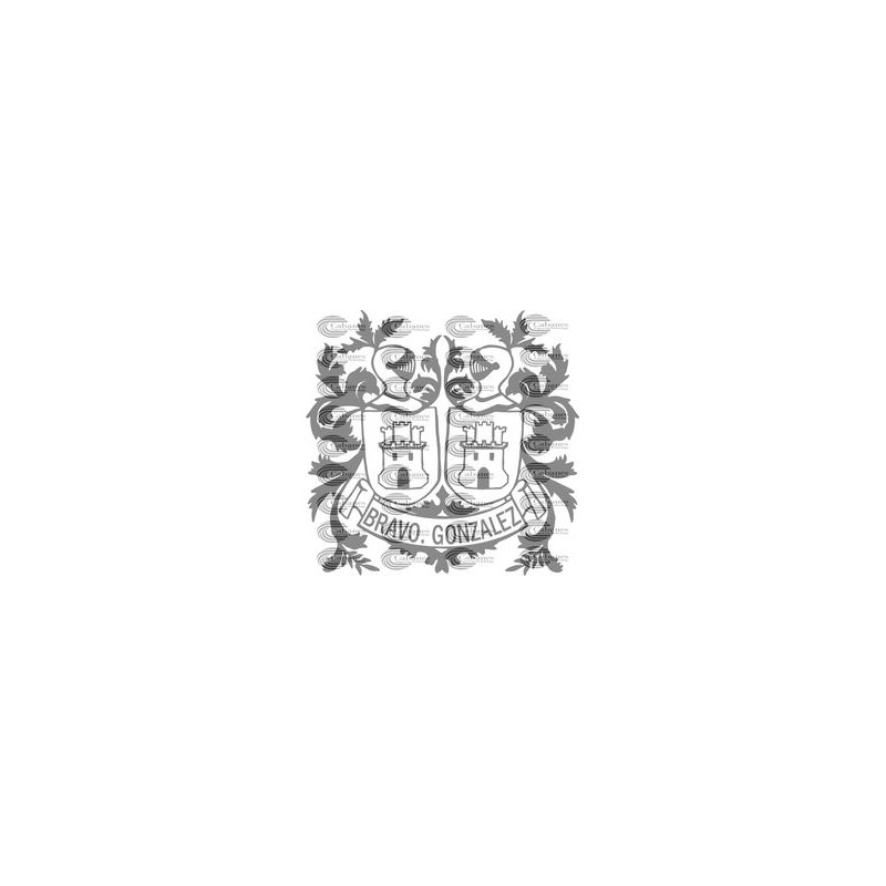 ESCUDO APELLIDO BRAVO-GONZALEZ