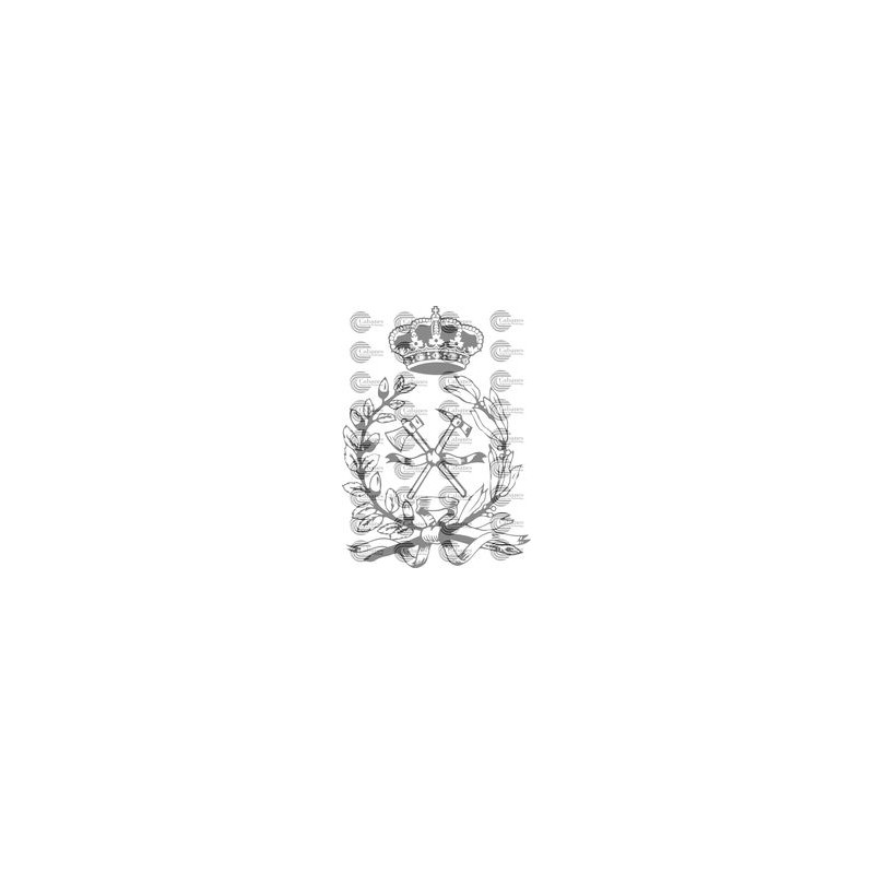 ESCUDO INGENIEROS MONTES