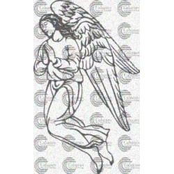 ANGEL VOLANDO
