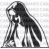 VIRGEN FATIMA 002