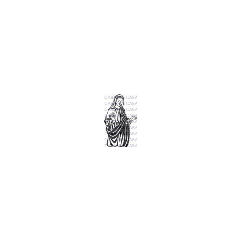 VIRGEN 002