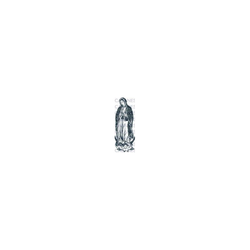 VIRGEN GUADALUPE MEJICO 001