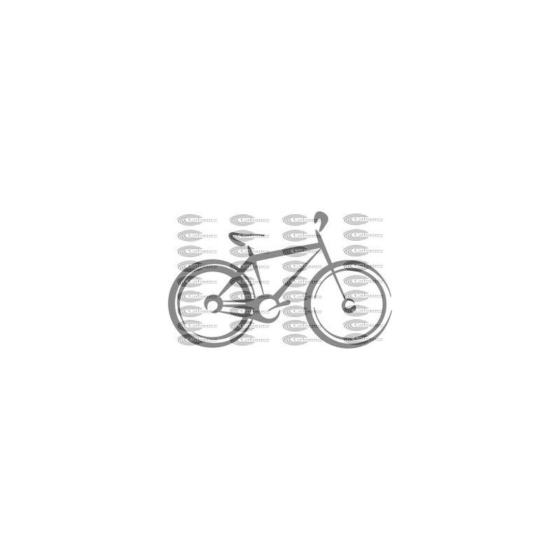 BICICLETA PASEO