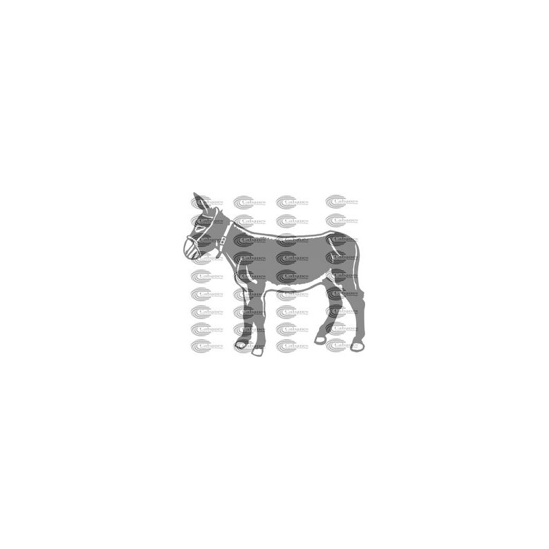 BURRO