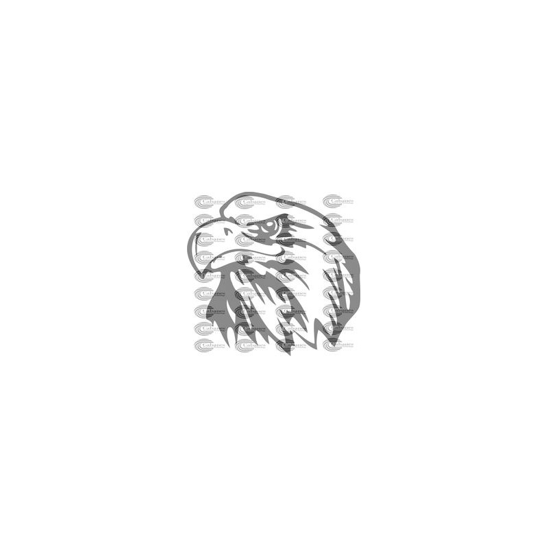 CABEZA AGUILA