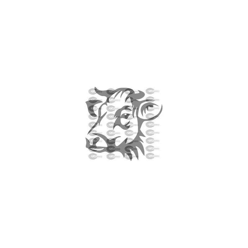 CABEZA VACA