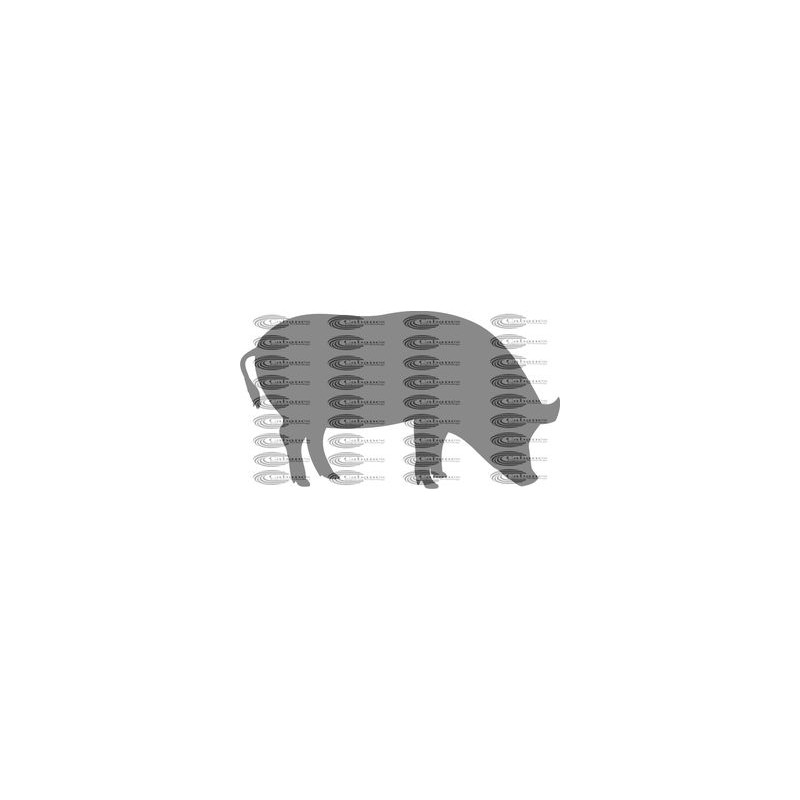 CERDO