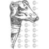 CABEZA PERRO GALGO