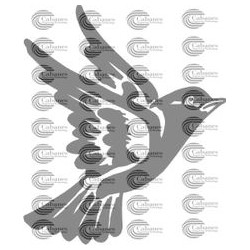 PAJARO