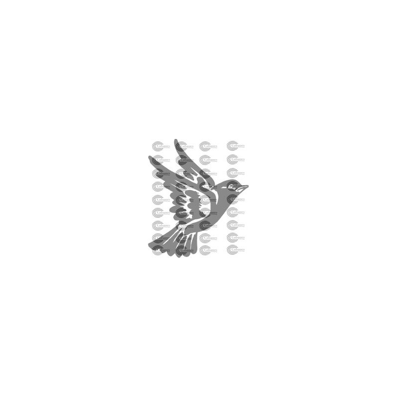 PAJARO