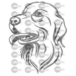 CABEZA PERRO LABRADOR