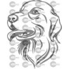 CABEZA PERRO LABRADOR