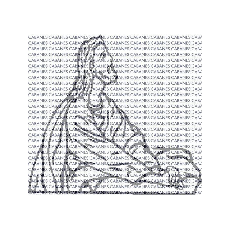 CRISTO ORACION 002