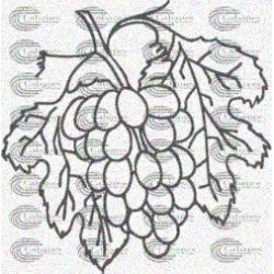 RACIMO UVAS