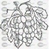 RACIMO UVAS