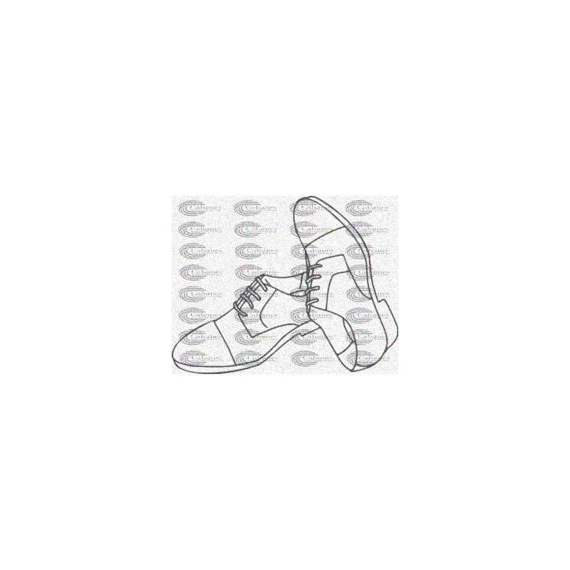ZAPATOS CABALLERO