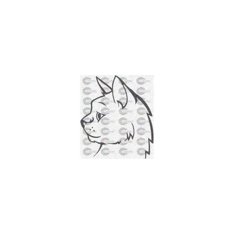 CABEZA GATO