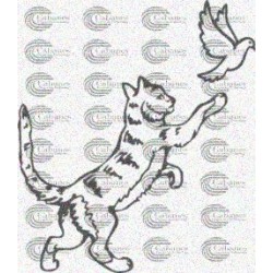 GATO PALOMAS