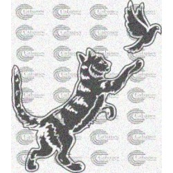GATO PALOMAS