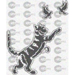 GATO PALOMAS