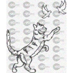 GATO PALOMAS
