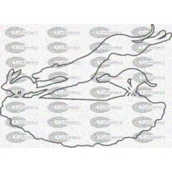 PERRO GALGO CAZANDO