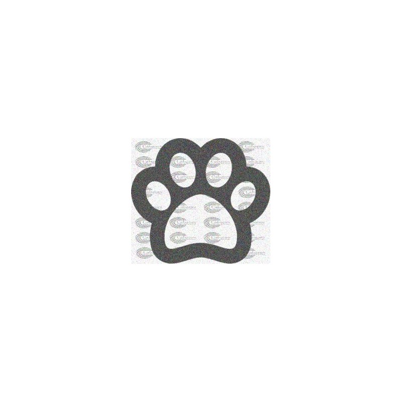 HUELLA PERRO