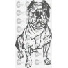 PERRO BULLDOG INGLES