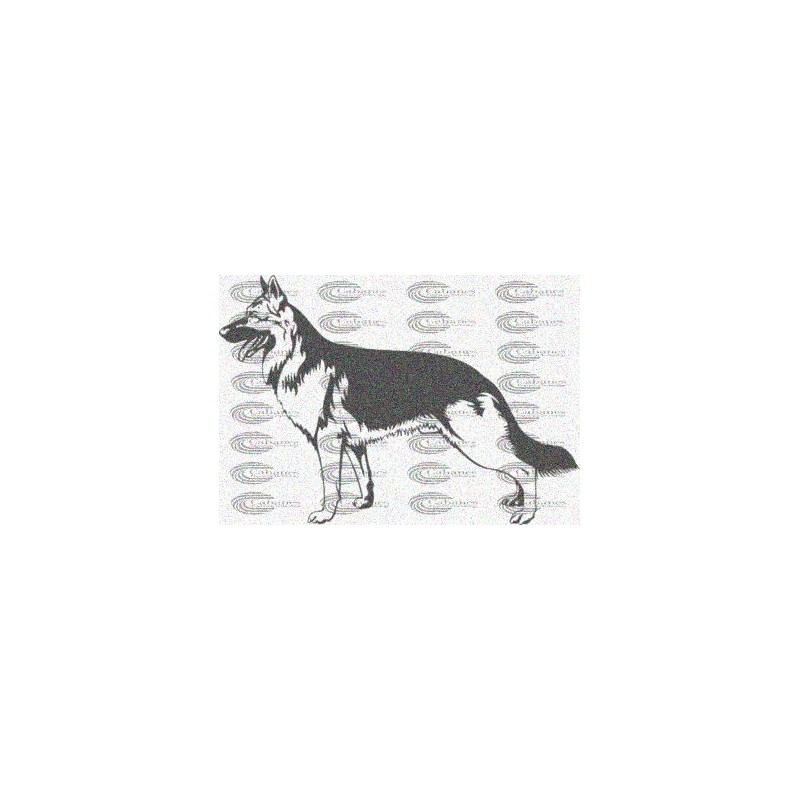 PERRO PASTOR ALEMAN