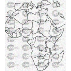 MAPA POLITICO AFRICA